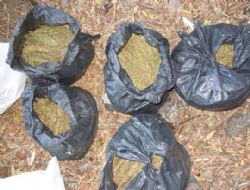  20 kilo esrar ele geçirildi