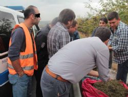 ‘Biz bunu kavurga yapıp yerdik'