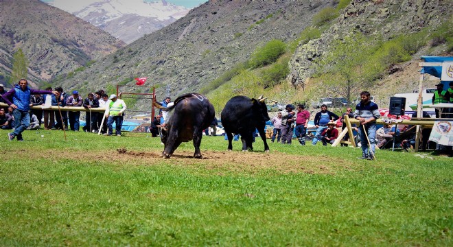 Aksu'da festival coşkusu