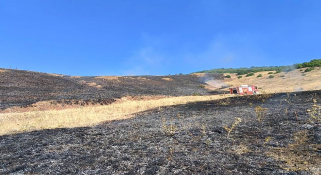 Aşkale'de 100 dönüm alan kül oldu