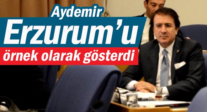 Aydemir Erzurum'u örnek olarak gösterdi