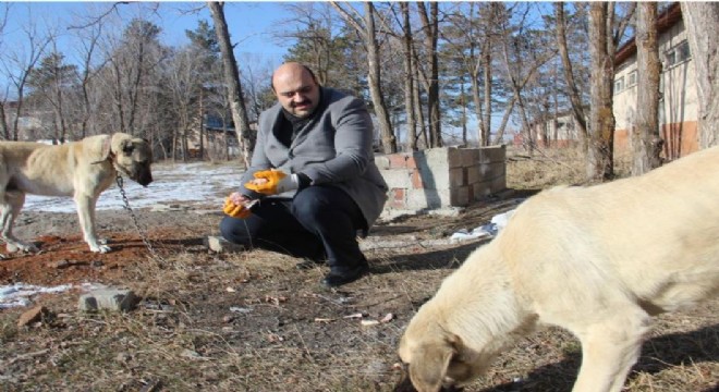 Aziziye Belediyesinden yaban yaşamına destek