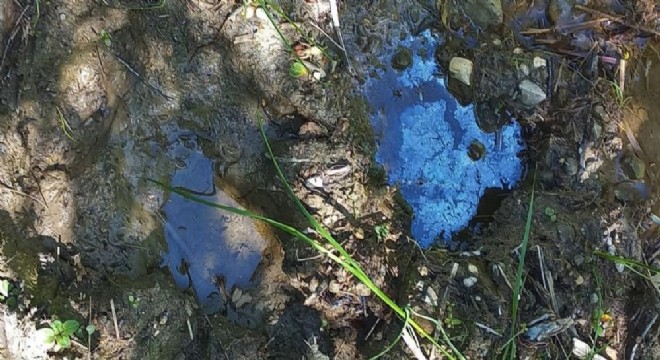 Bayburt'taki petrol sızıntıları heyecan yaşattı