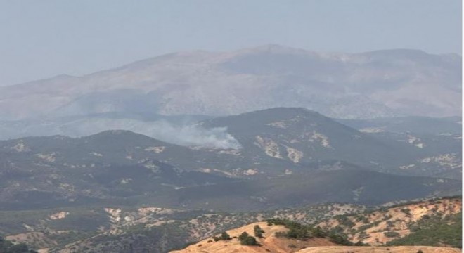 Bingöl'de orman yangını