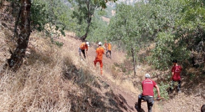 Bingöl'de orman yangını kontrol altına alındı