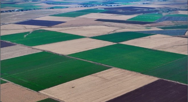 Bingöl'deki renk cümbüşü dron ile görüntülendi