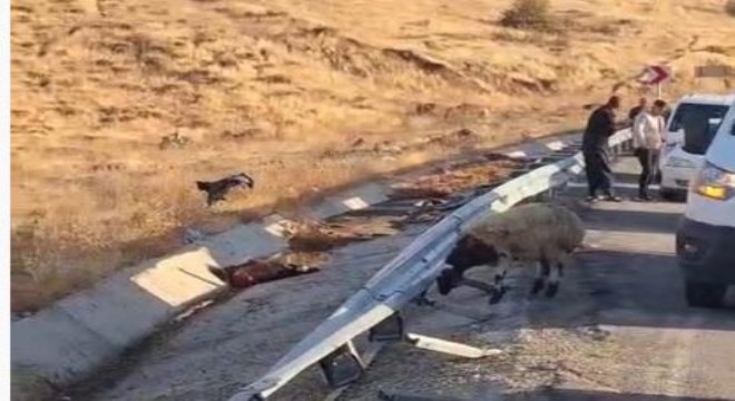 Bingöl yolunda kamyon devrildi: 2 yaralı