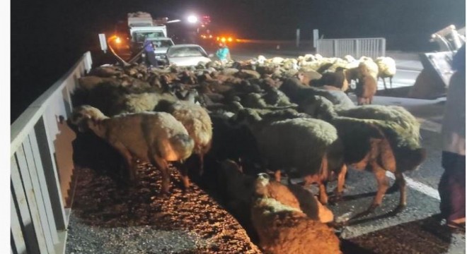 Bingöl yolunda trafik kazası