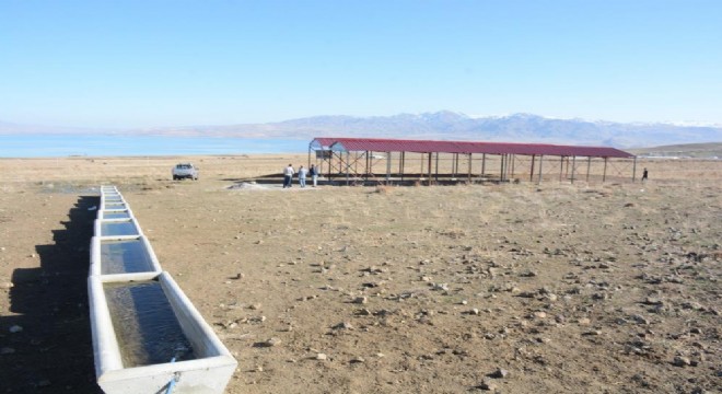 DAP BKİ'den besicilere destek