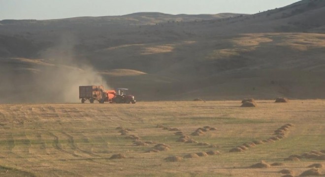 Doğu Anadolu'da hasat zamanı