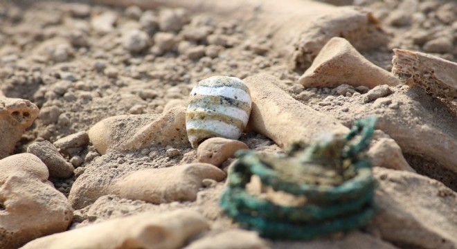 Doğu'da Arkeoloji Dünyasını heyecanlandıran buluntu