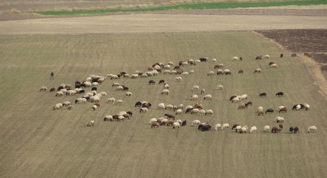 Doğu'daki besicilerden kışlaklara dönüş hazırlığı