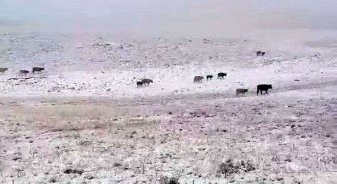 Erzurum'a mevsimin ilk karı yağdı