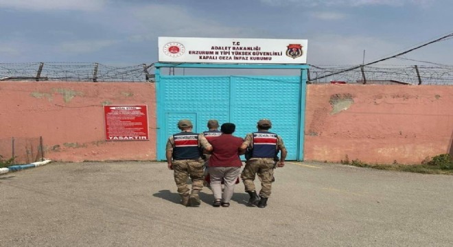 Erzurum'da FETÖ operasyonu