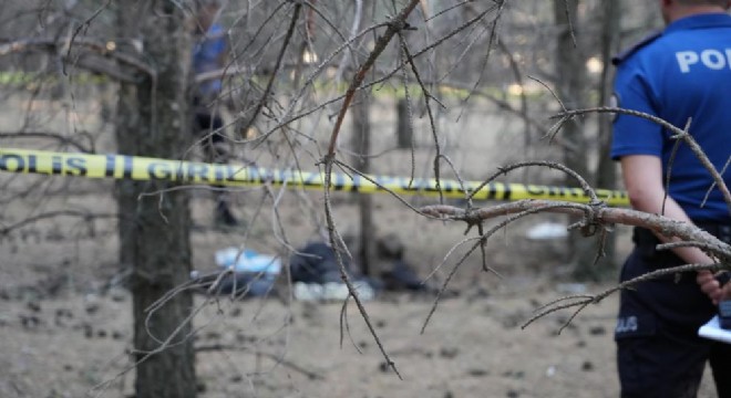 Erzurum'da ormanlık alanda erkek cesedi bulundu