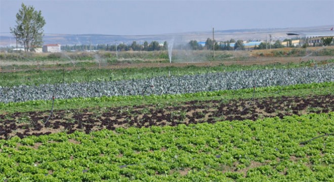 Erzurum tarımsal kredide fark attı