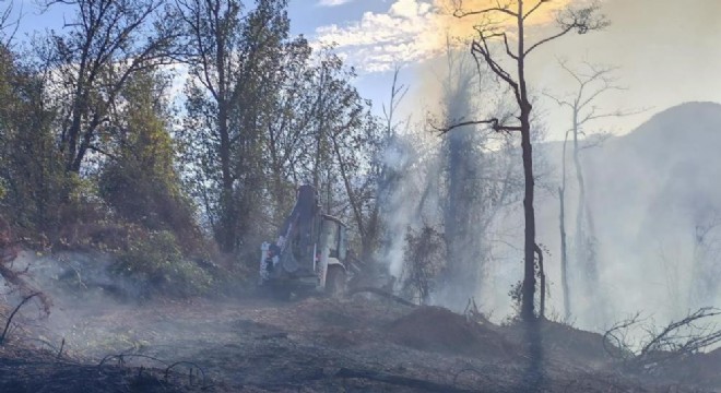 Hopa'da tarım alanında çıkan yangın ormana sıçradı