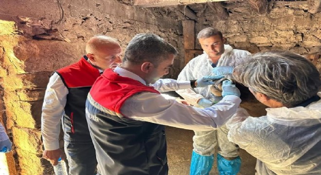 İl Tarımda şapla mücadele gündemi