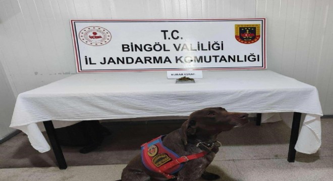 Jandarma'dan uyuşturucu operasyonu