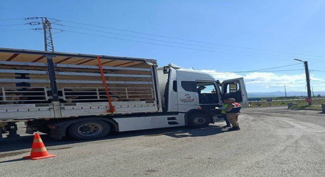 Jandarmadan kaçak göçmen operasyonu