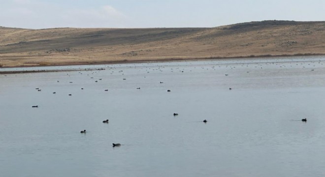 Karayazı Köyceğiz Göleti'nde görsel şölen