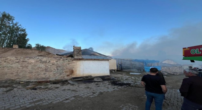 Narman Göllü'de yangın: 3 ev yandı