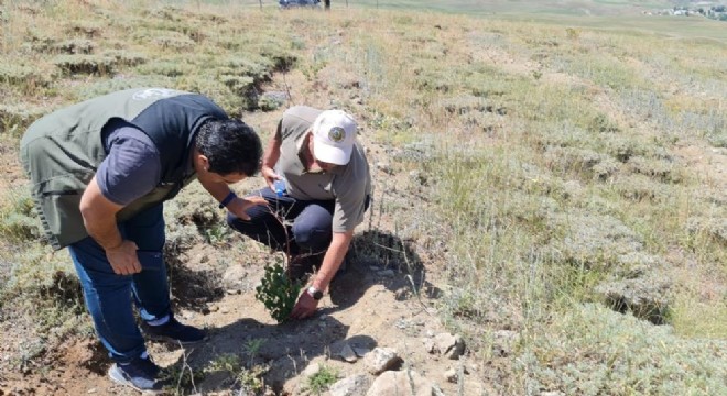 OBM'de çevre yatırımı gündemi