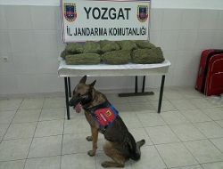 Otobüste 38 kilo esrar ele geçirildi
