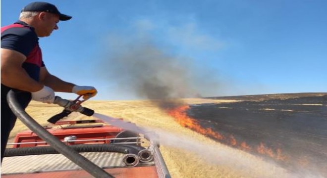 Onlarca dönüm ekili alan küle döndü