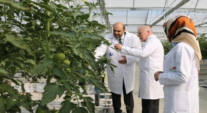 Orhan ve Sekmen'den üretim istişaresi