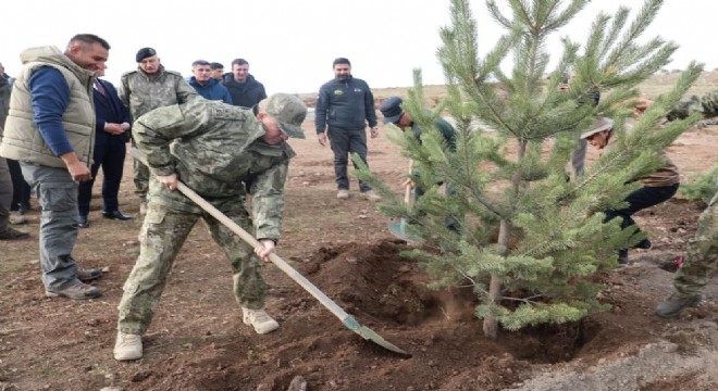 Şehit Aksu anısına ağaç diktiler
