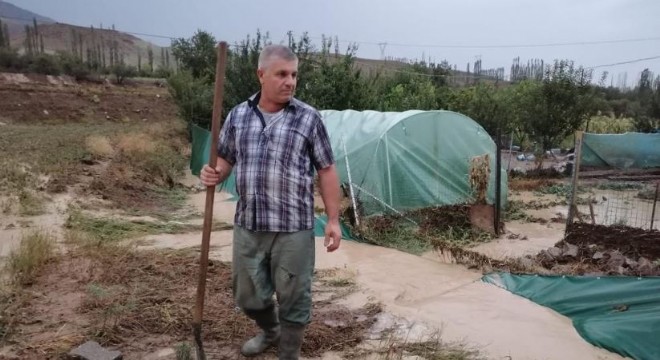 Sel Oltu'da seralara zarar verdi