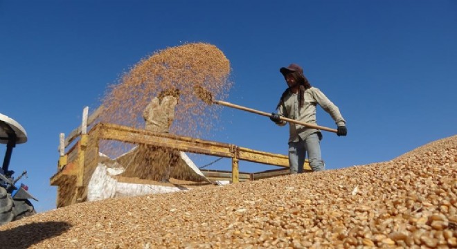 TMO depolarında yer kalmadı