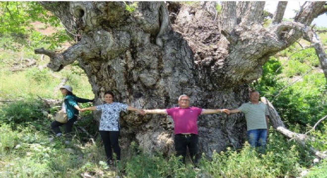 Türkiye'de benzeri yok