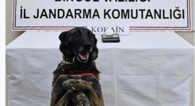 Uyuşturucu taciri tutuklandı