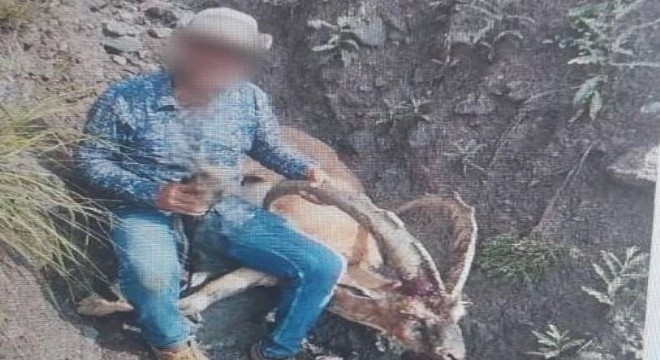 Yaban keçisi avladı: 650 bin lira ceza ödedi