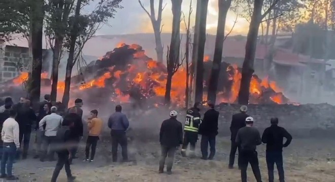 Yüzlerce balya ot küle dönüştü