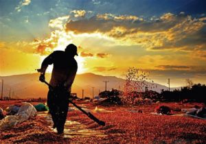 Fotoğrafçılar Tarım ve İnsan'ı görüntüleyecek